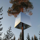 Illustration for article titled These Are The Most Amazing Tree Houses Ever